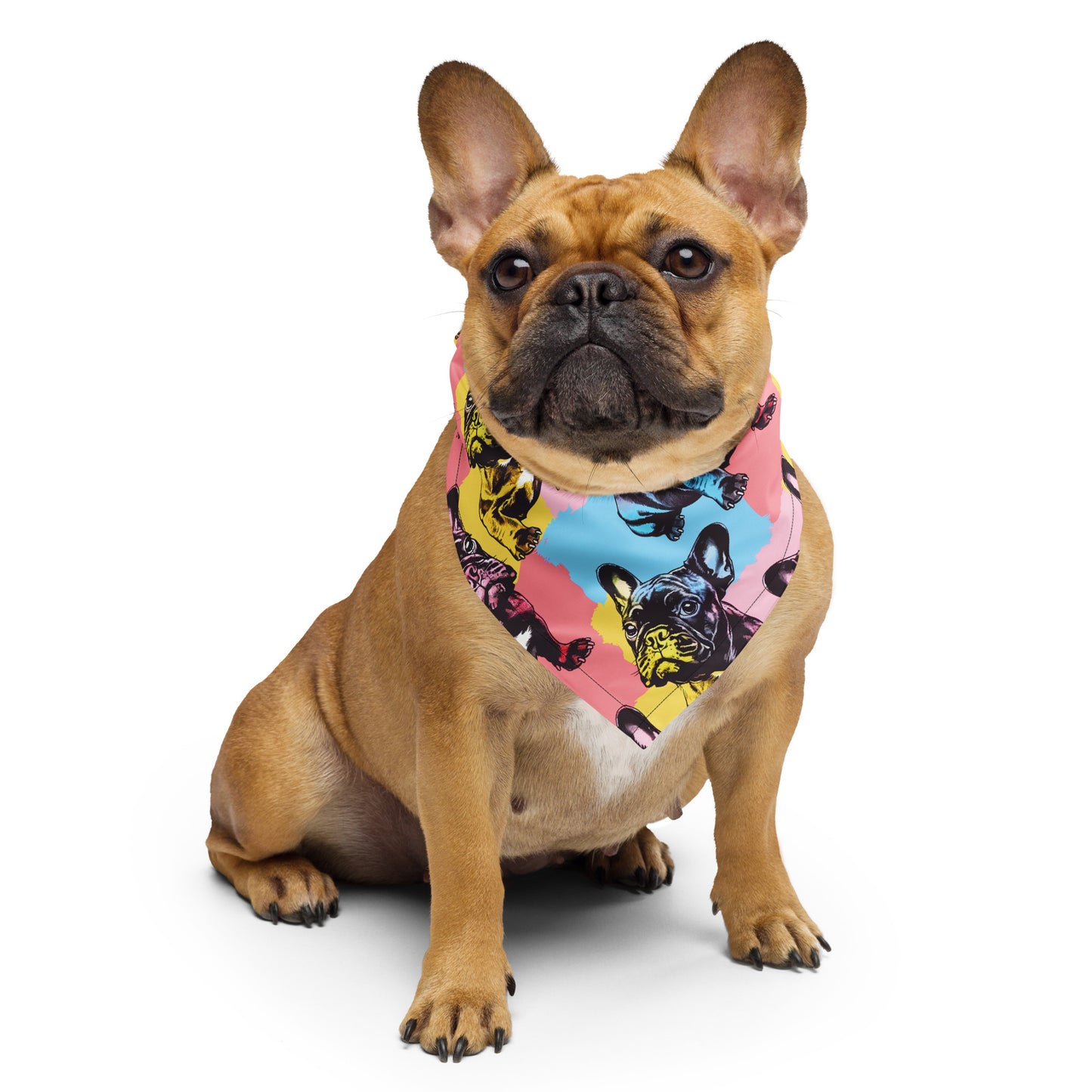 Frenchie Pride Blue and Orange Bandana