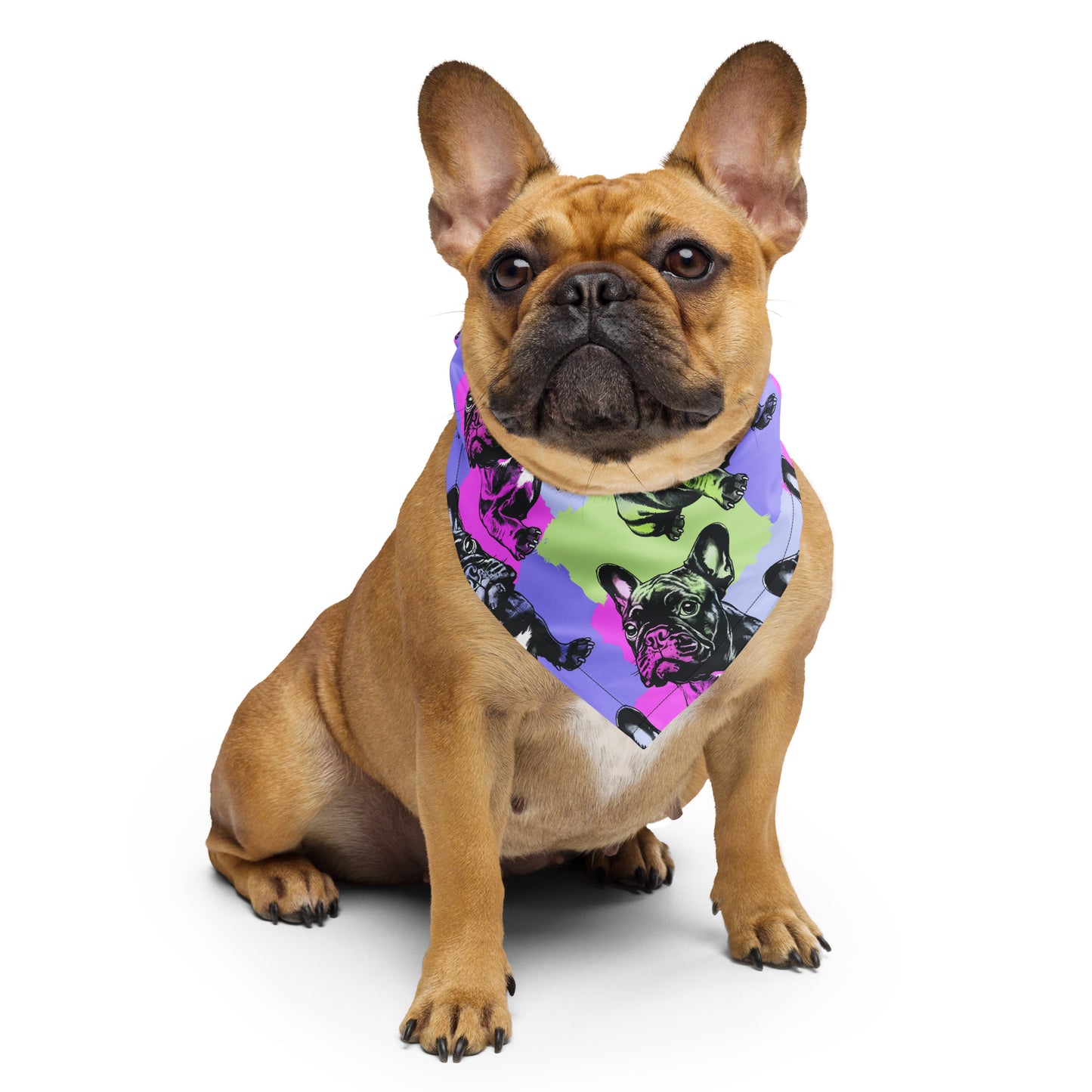 Frenchie Pride Purple and Green Bandana