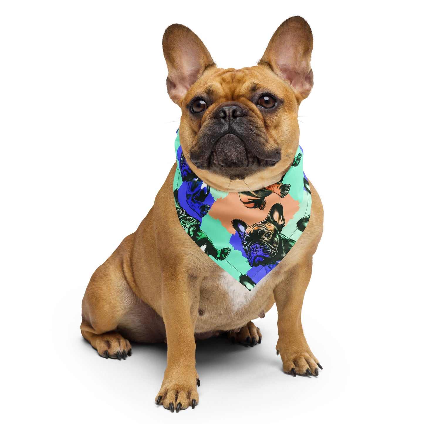 Frenchie Pride Blue and Green Bandana